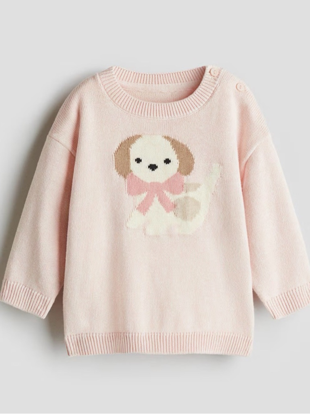 H&M Knit Puppy Sweater